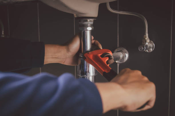 Best Same-Day Plumbing Service  in Waimalu, HI