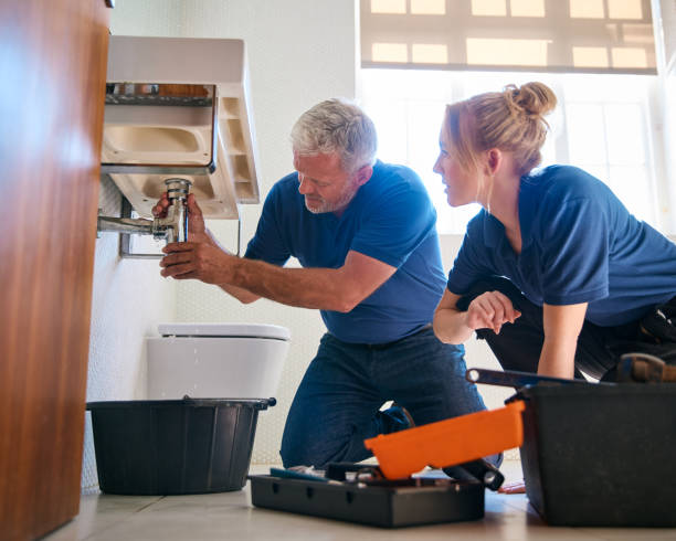 Best Sprinkler Systems  in Waimalu, HI
